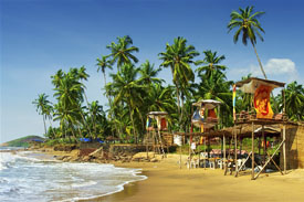 Glimpses of Goa